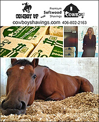 Cowboy Horse Stall Bedding
