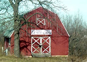 The Barn behind the house