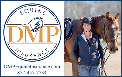 Nationwide Horse Insurance by DMP Equine Insurance