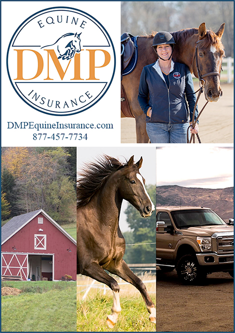 Horse Insurance, Property Insurance and Automobile Insurance by Equine DMP Insurance