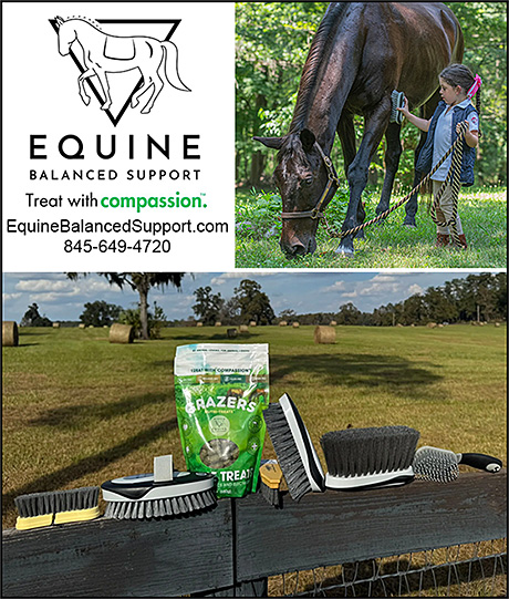 Equine Balanced Support make Horse Brushes that support horse health!