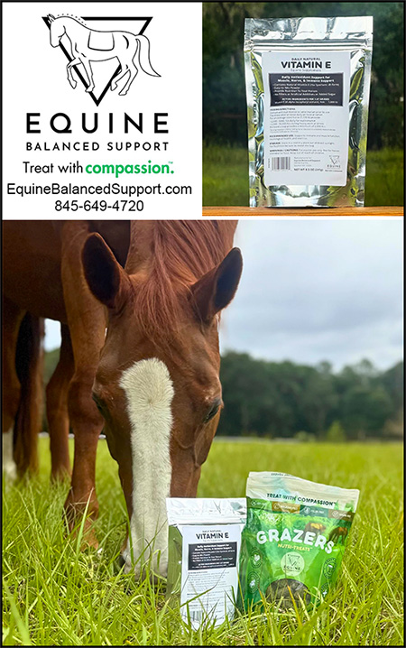 Equine Balanced Support Vitamin E for Horses