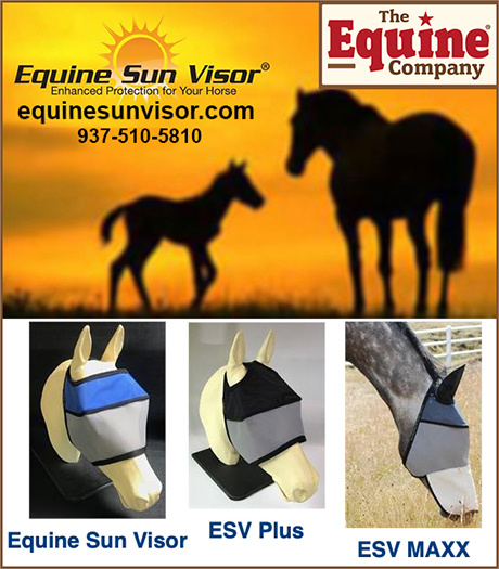 Equine Sun Visor by The Equine Compamy