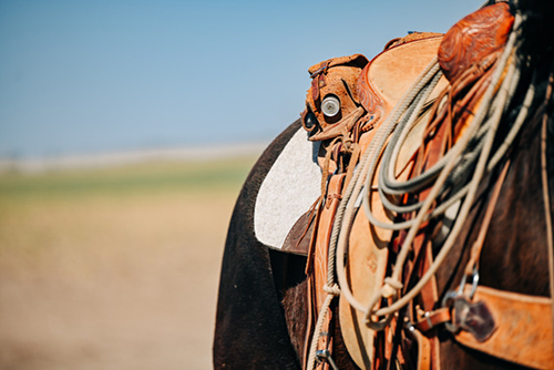 Improving saddle fit with a wool pad.