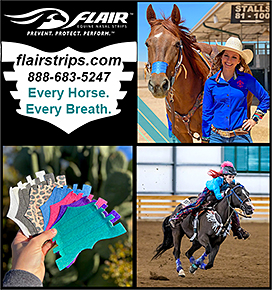 FLAIR Equine Nasal Strips, by Achieve Equine