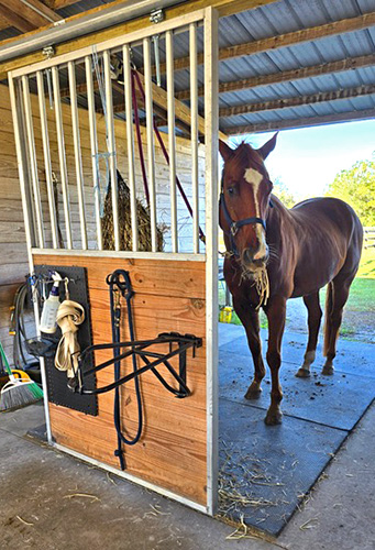 The Horse Grooming Door is a horse care station.