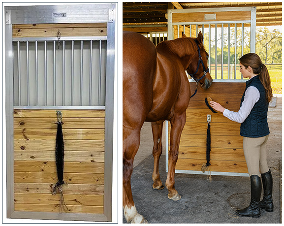 Horse Owner using The Horse Grooming Door Horse Owner using The Horse Grooming Door