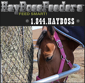 Hay Boss Pasture Horse Feeder