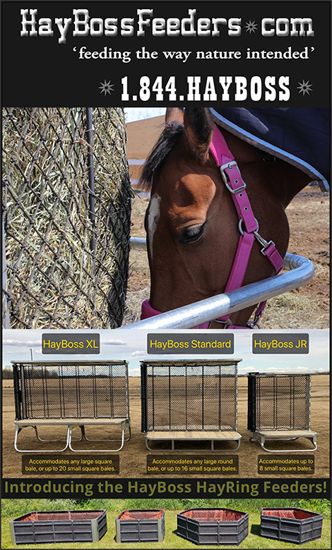 Hay Boss Horse Pasture Horse Feeders