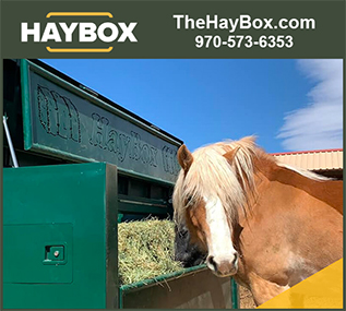 The Hay Box Automatic Horse Hay Feeder