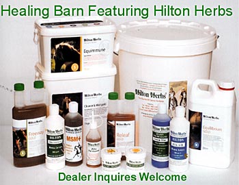 Healing Barn for Natural Horse Health.