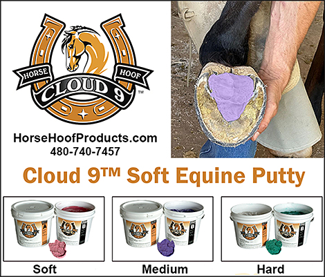 Horse Hoof Putty