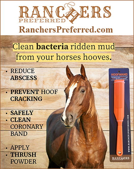 HoofWand for safe horse hoof cleaning.