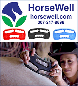 Equine Massage Tool by HorseWell