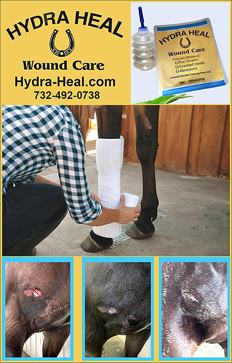 Horse Wound Care Product by Hydra Heal