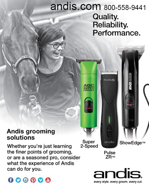 andis equine clippers