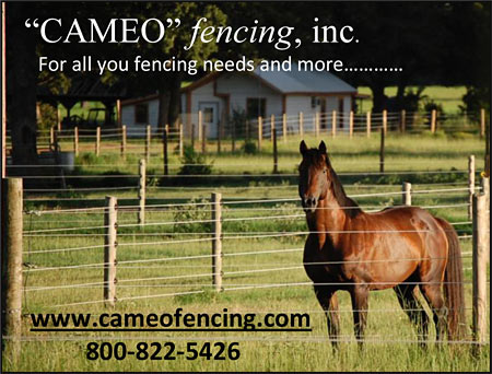 Overview of electric fencing and weighing systems for horses