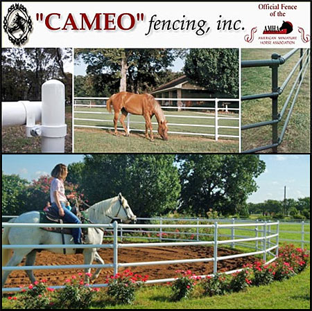 CAMEO Horse Fencing 3000 Ft