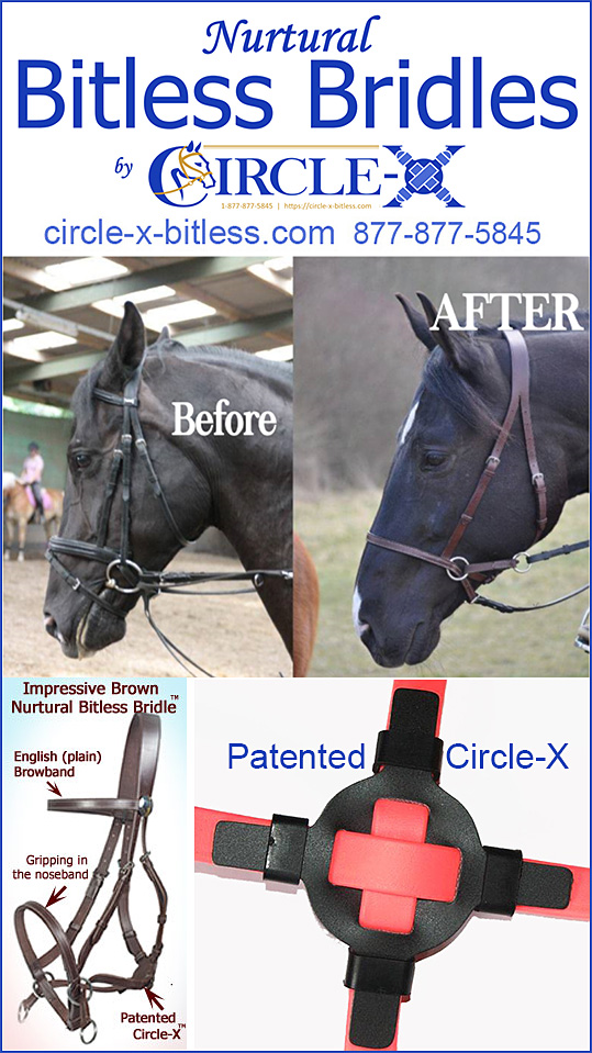 ULTIMATE BITLESS BRIDLE