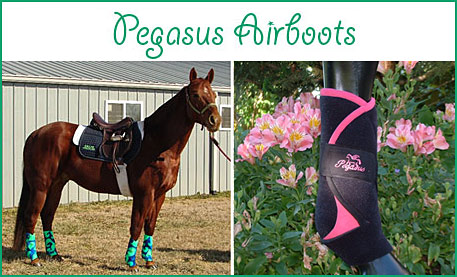 pegasus airboots