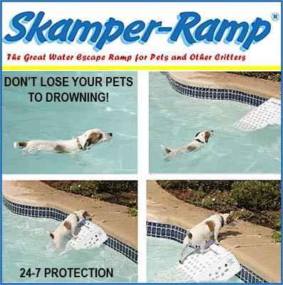 Gamma skamper ramp best sale