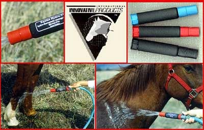 Water Therapy for Horse Injury Using Hydro Therapy