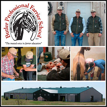 Affordable Horseshoeing Schools
