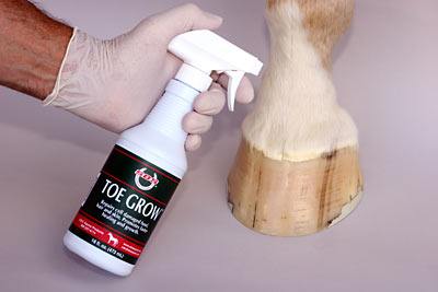 Repair Hoofs, Cooper Peptides Repair Hoof Problems