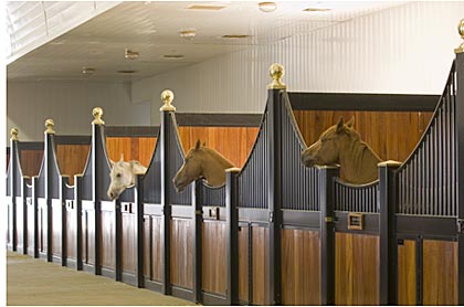Horse Stall Design