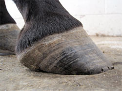 Underrun Heels and What To Do About Them