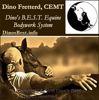 Horse Posture and Performance