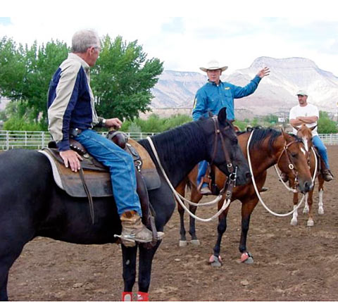 Looking for a Horse Trainer?