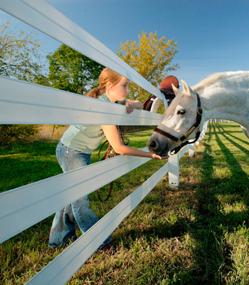 Tips for Planning Horse Fencing