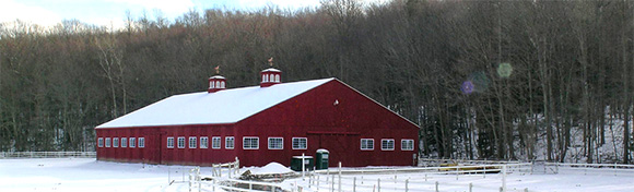 Design a Beautiful and Functional Equine Facility