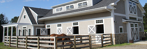 Building Blocks of Horse Accident Prevention