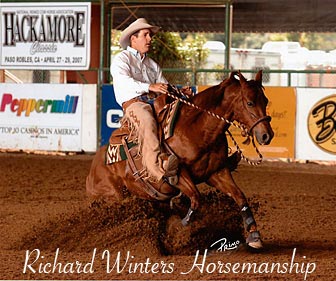 Training Horse Harmony, Horse Control