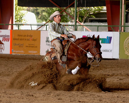 Horse Training is Feel Timing Balance