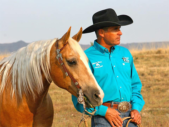 Cowboy Dressage
