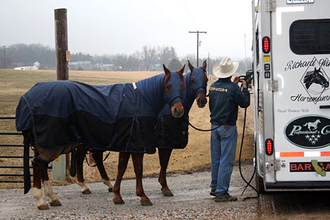 Long Distance Horse Hauling