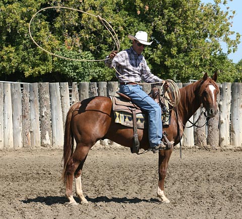 Teaching Your Horse To Handle A Rope - Richard Winters
