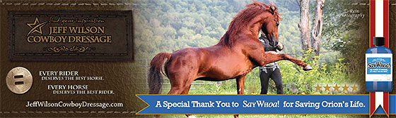 Horse Colic Causes Cowboy Distress