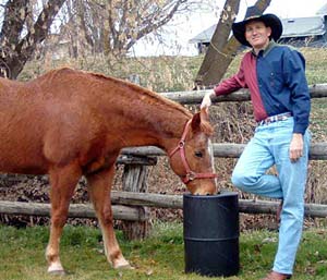 Automatic Horse Waterers