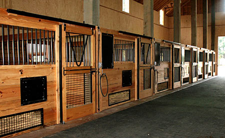 Horse Stall Ventilation, Horse Stall Air Quality