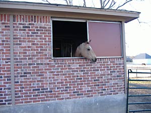 Watch your horses in the barn from your kitchen or living room.