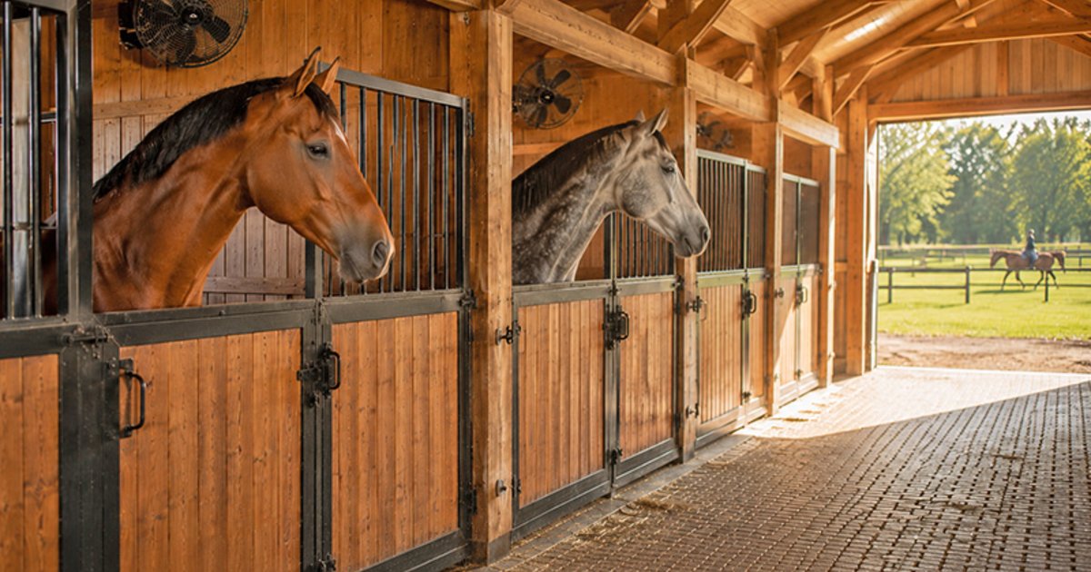 Best Fans for Horse Barns & Stalls: Safety, Ventilation, Fire Prevention & Buying Guide