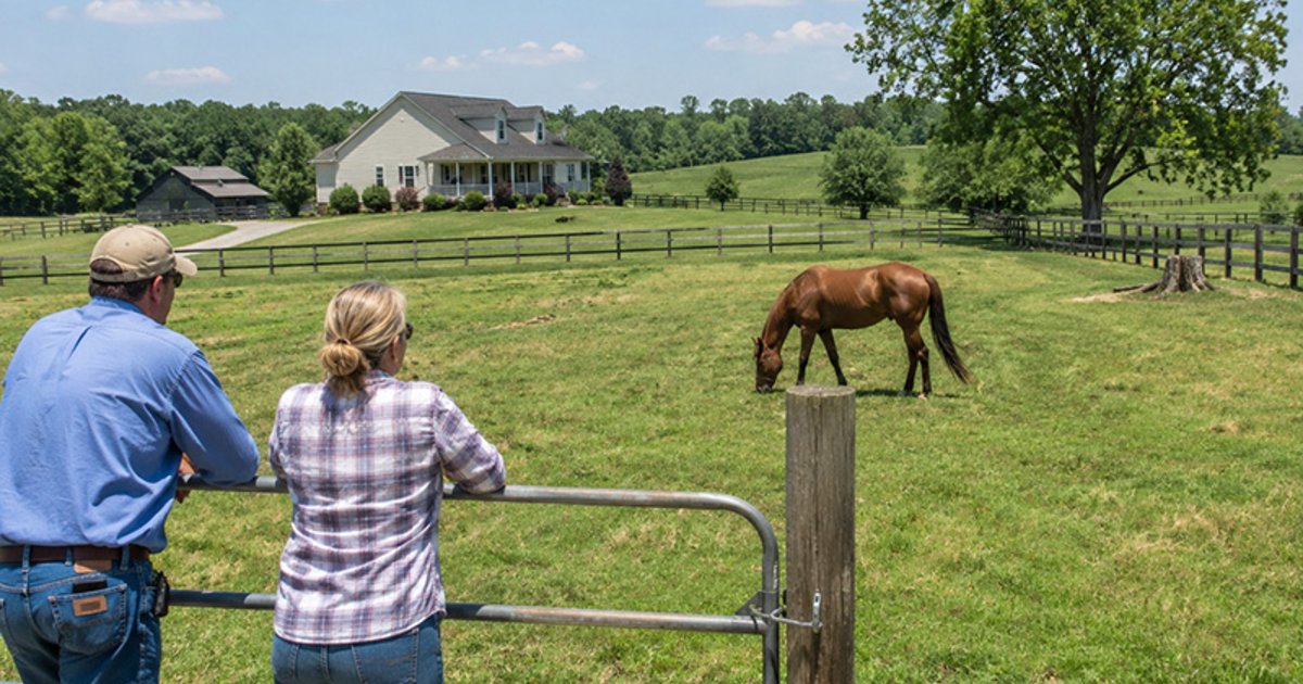Will I Save Money if I Keep My Horse at Home or Should I Spend the Money to Board My Horse?