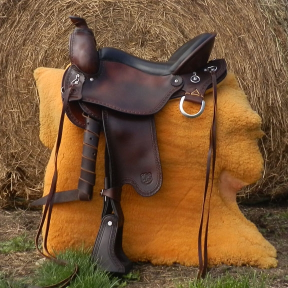 How Should a Saddle Fit Your Horse? The Owner's Guide to Saddle Fit