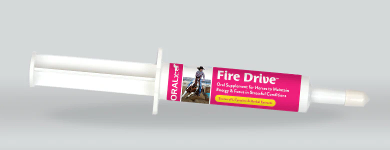 Fire Drive oral paste tube with magenta label for maintaining energy and focus in horses