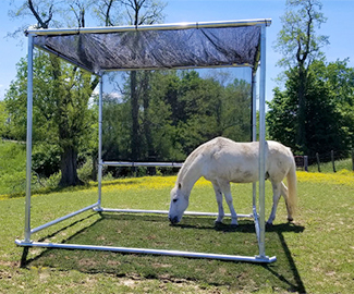 How to Provide Shade for Your Horse