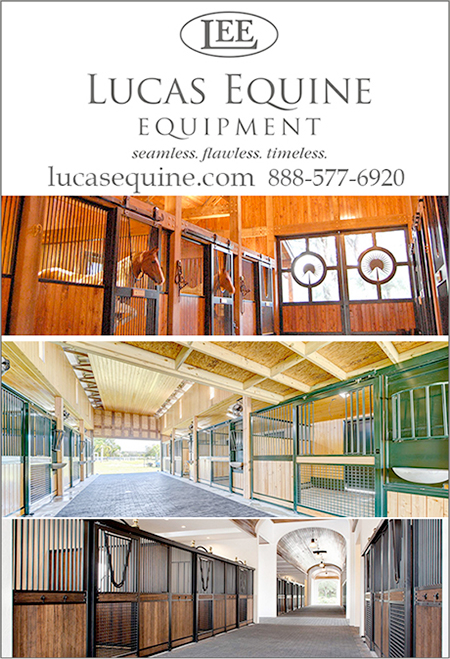 Horse Stalls by Lucas Equine Equipment